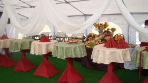 Namiot PVC 5x8m PREMIUM LUX