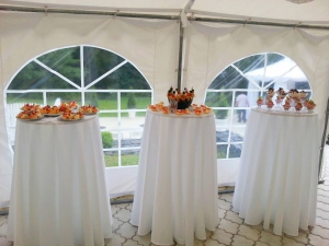 Namiot PVC 5x8m PREMIUM